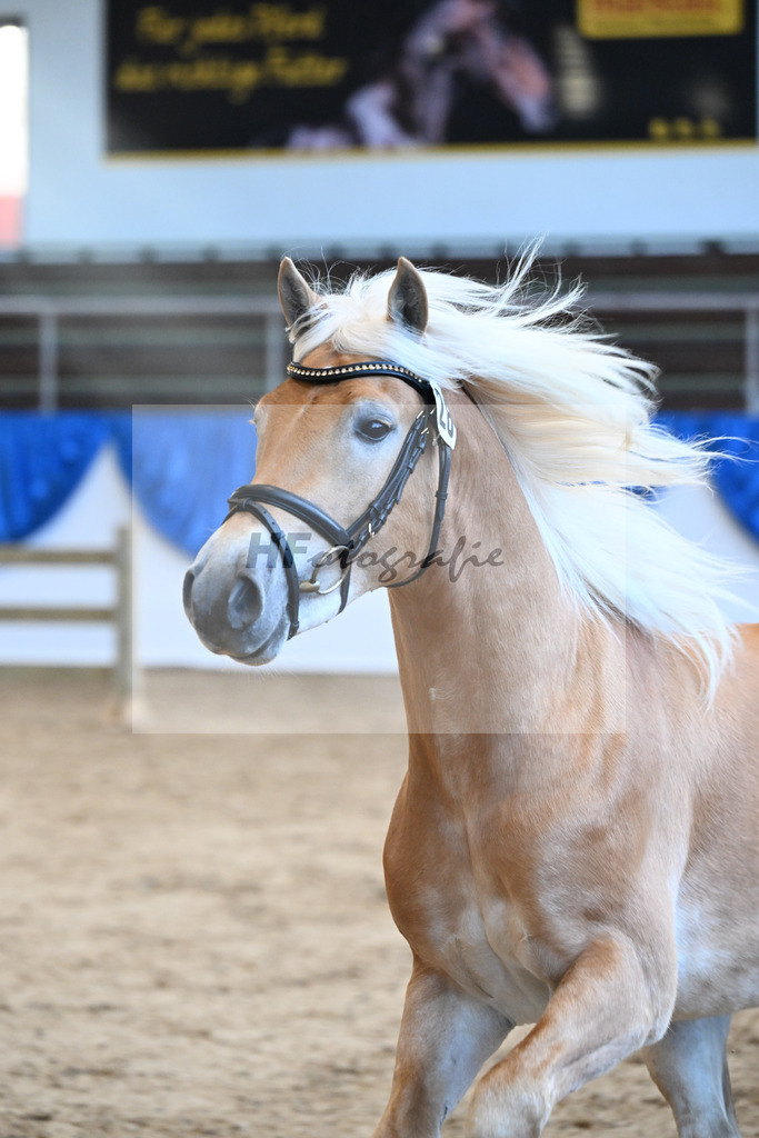 Kat-Nr. 28 nn v. Nio_Kirchberger_48250572 | hf-fotografie - Realisiert mit Pictrs.com