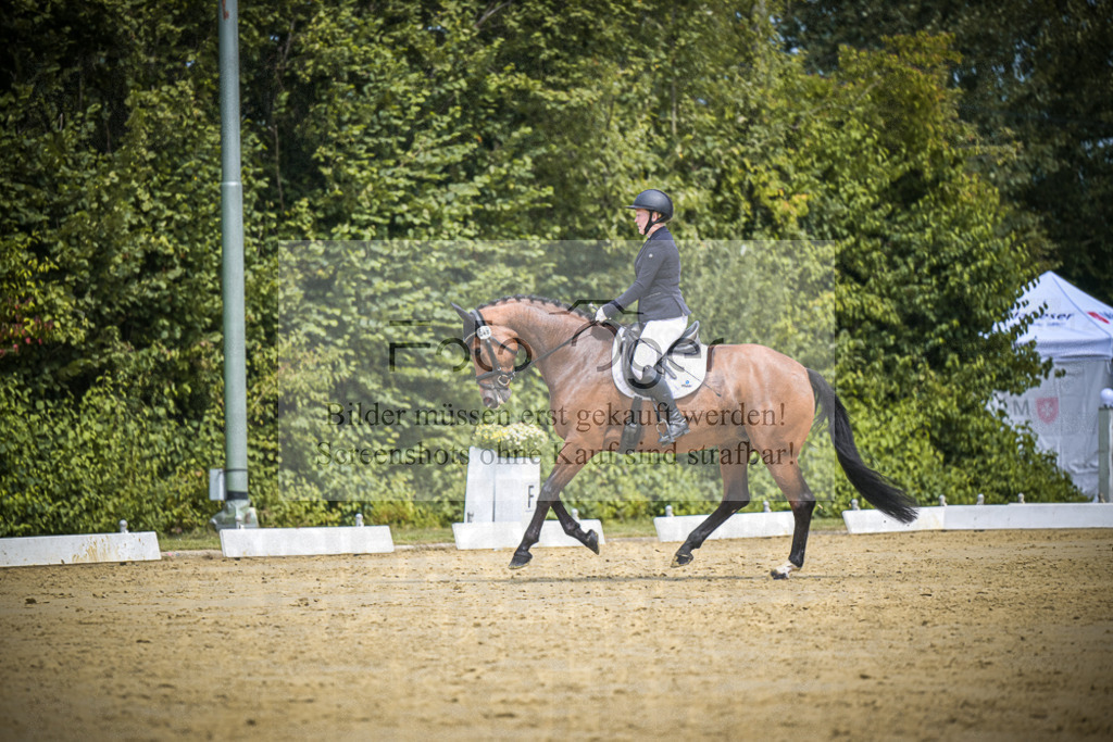 DOS_3950 | Entdecke hochwertige Reitturnierfotos von Foto Oger. Professionell, emotional und authentisch – jetzt Lieblingsmomente im Shop bestellen.Deutschlandweite Turnierfotografie. - Realisiert mit Pictrs.com
