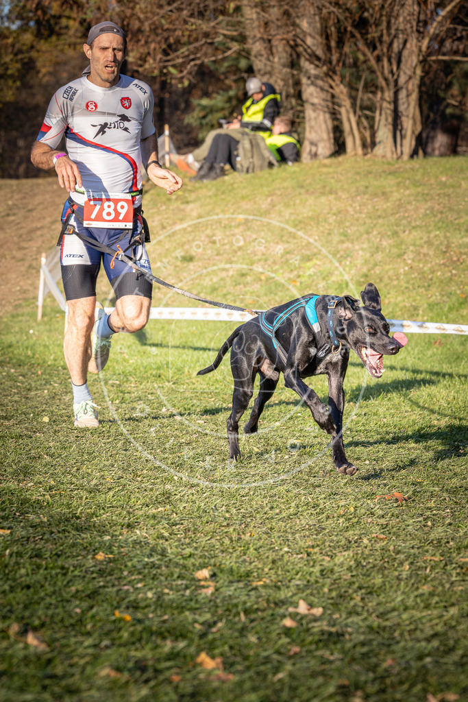 CaniXpix_0L8A0215 | Hundefotografie, Tierfotograf, Pfotenfotografie, Fotoshooting Hund, Hunde Portrait, Hundesport, Hundeportraits, Heideshooting, Hunde, Sportfotograf, Hundefotograf, Turnierhundsport, THS,  - Realisiert mit Pictrs.com