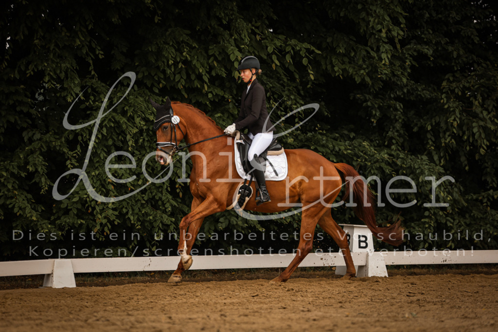 DoDrA00267 | Leoni Ertmer Photography - Realisiert mit Pictrs.com