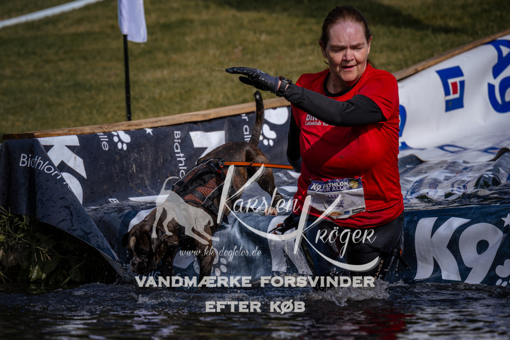 _ZZ977420748 | kk-dogfotos