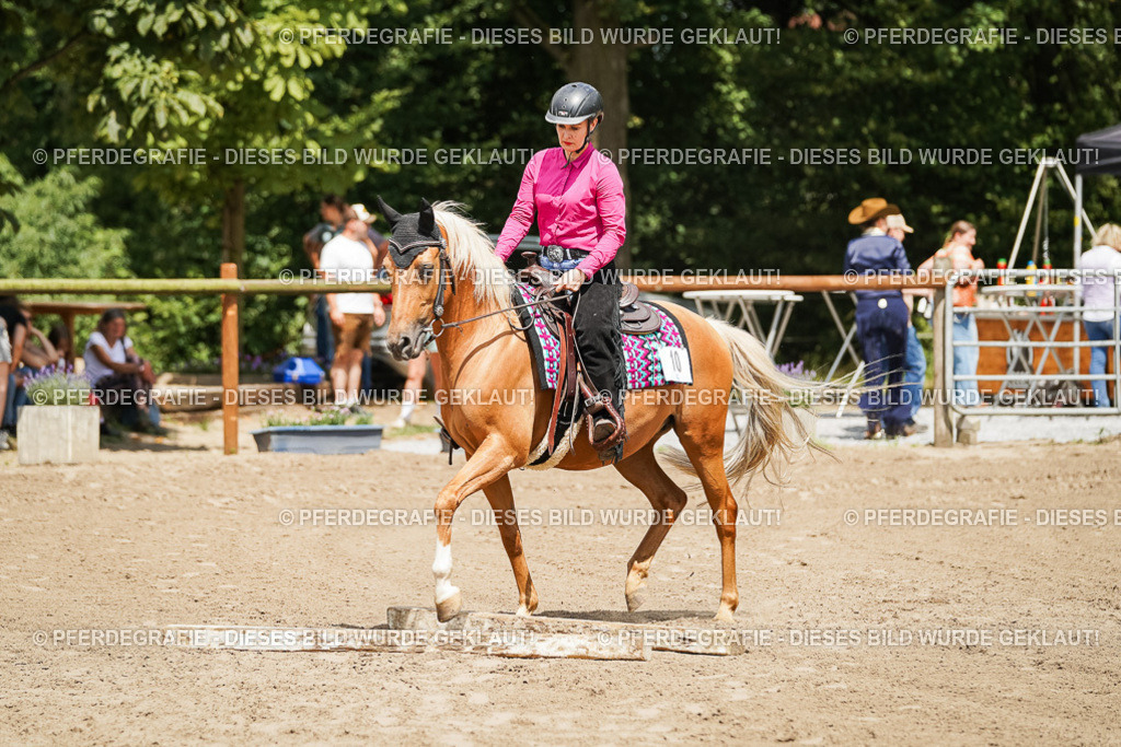 DSC08047 | Pferdegrafie