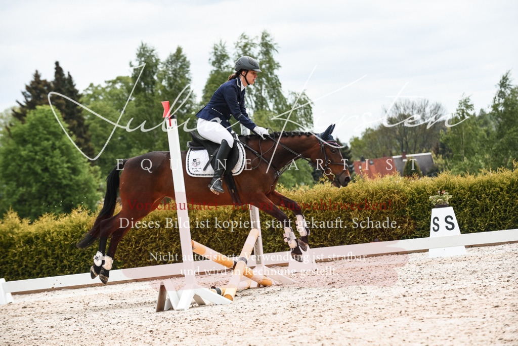 20230518_JK-Röhrsdorf-10-592 | Pferde- und Turnierfotografie in Westsachsen. Pferdeportraits, Auftragszeichnungen und intuitive Kunst.