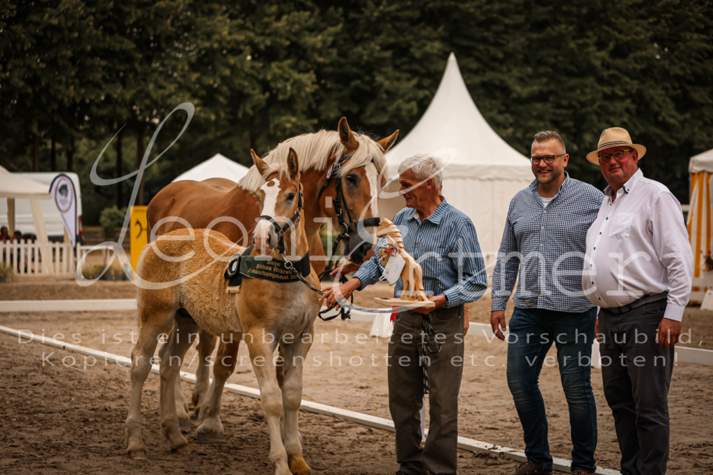 SaHF00147 | Leoni Ertmer Photography - Realisiert mit Pictrs.com