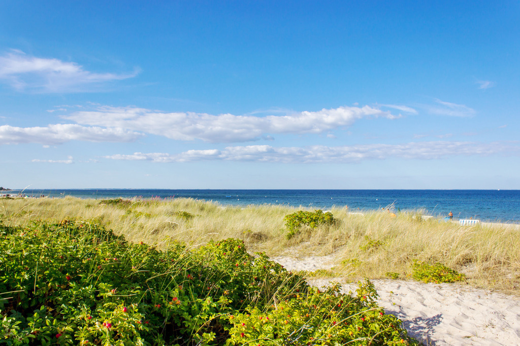 Strand in Kronsgaard | Strand in Kronsgaard im Sommer - Realisiert mit Pictrs.com