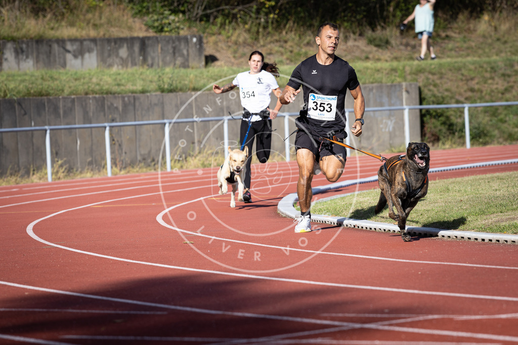 Pfotenfotografie_DV3A9852 | Hundefotografie, Tierfotograf, Pfotenfotografie, Fotoshooting Hund, Hunde Portrait, Hundesport, Hundeportraits, Heideshooting, Hunde, Sportfotograf, Hundefotograf, Turnierhundsport, THS,  - Realisiert mit Pictrs.com