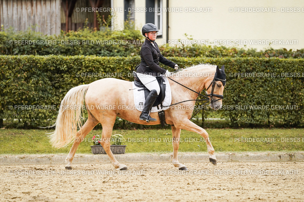 DSC00193 | Pferdegrafie