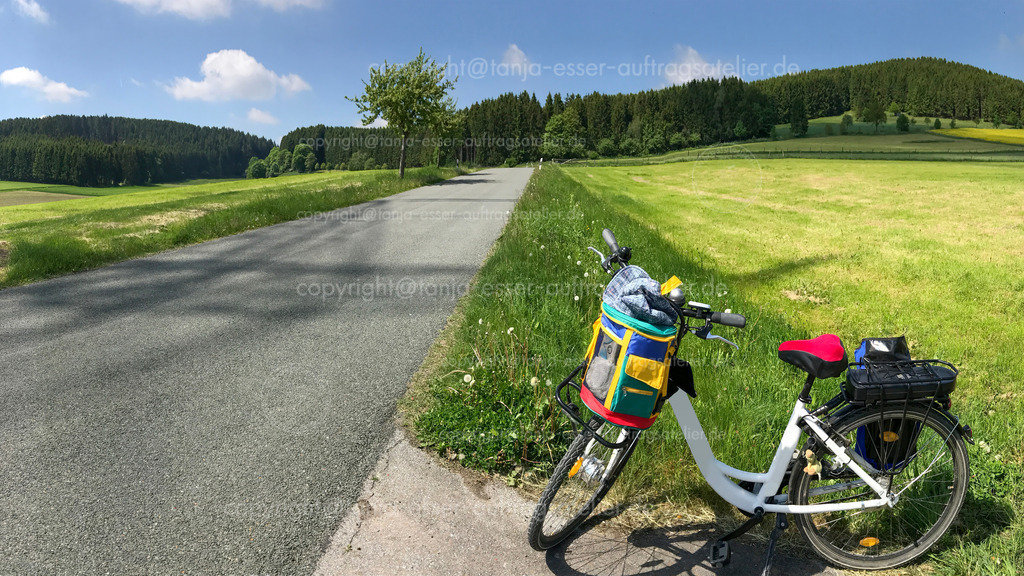 E Bike mit viel Gepäck in grüner Landschaft im Sauerland an der Aamühle | Weißes Damen E Bike mit Kühltasche parkt an einer Straße in grüner Landschaft. Aufgenommen an den Aamühlen in Brilon. Es ist ein sonniger Sommertag. 