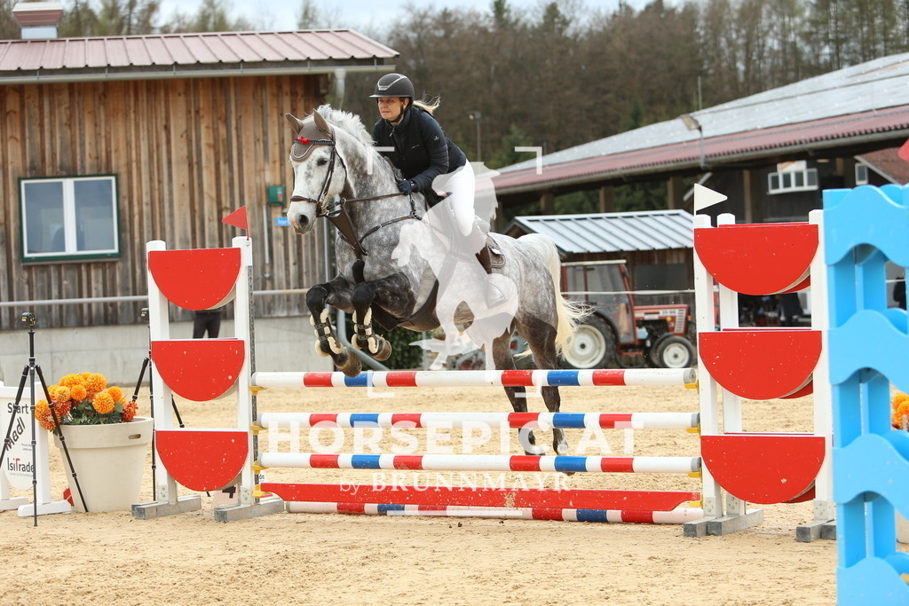 DL2Q2555 | Willkommen bei Brunnmayr - Design & Fotografie – Ihrem Spezialisten für Reitturniere und Pferdeveranstaltungen in Oberösterreich, Salzburg und Bayern! Seit über 17 Jahren sind wir leidenschaftlich dabei.