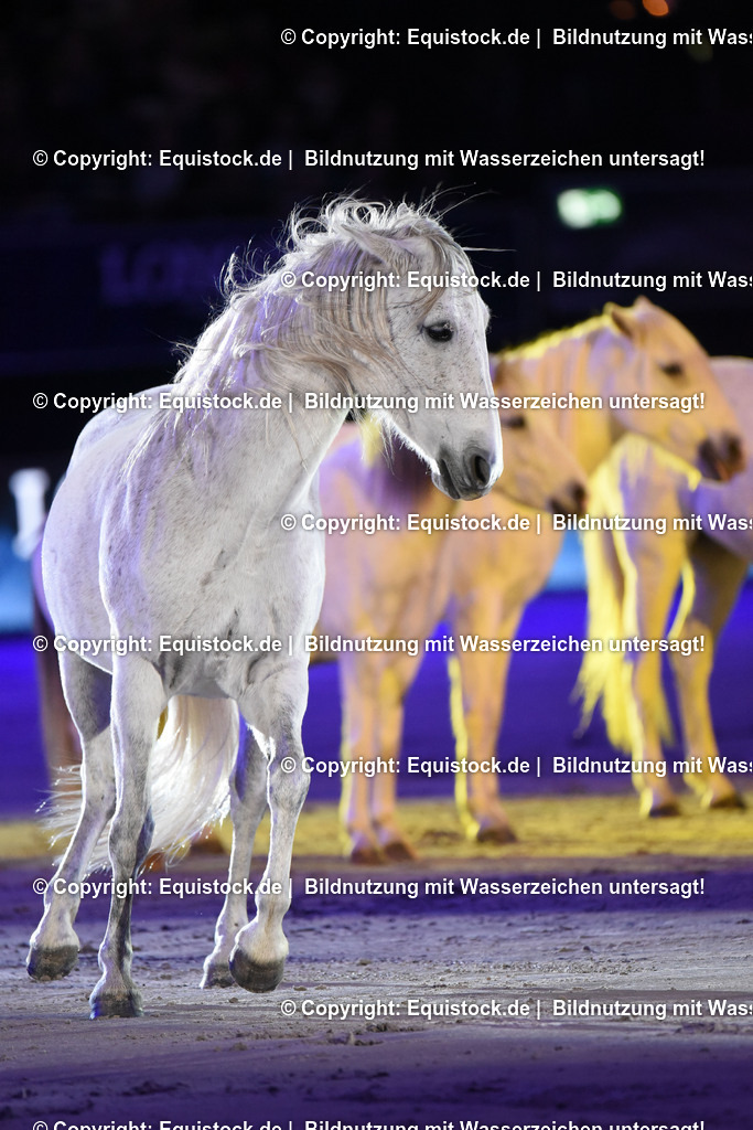 20231115_Show-Jean-Francois-Pignon_0075_TOMsPiC | Foto: Thomas Hartig