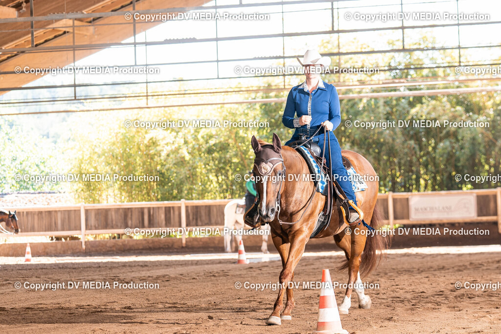 Erbach Tag 3-371 | dv-media-shop - Realisiert mit Pictrs.com