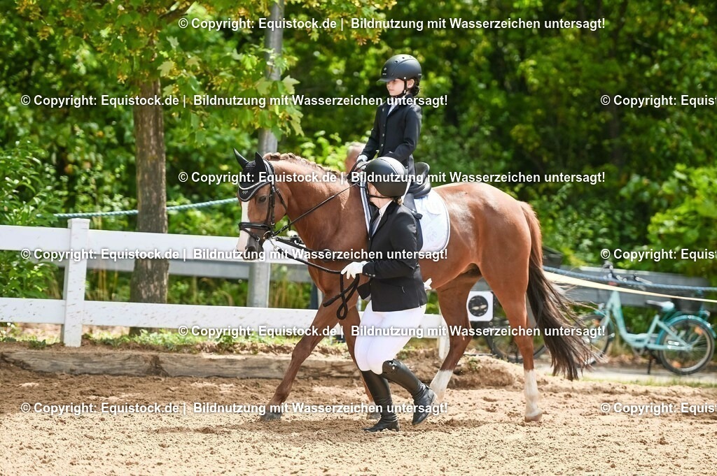 20230716_11_Führzügel-WB_0190 | equistock