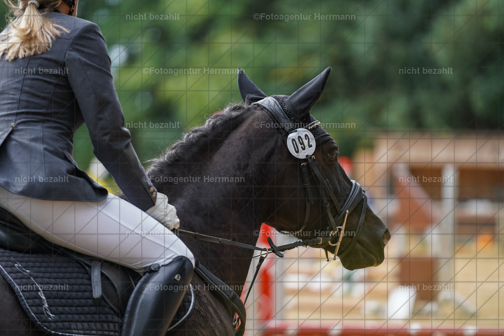 20231008-SN_01108 | Professionelle Turnier- und Reitsportfotografie - mit dem Finger am Auslöser. Pferdebilder aus dem Reitsport von den Turnierfotografen  Bayern , Pferdefotograf Bayern, Pferdeshooting Turnierbilder, Hochzeitsfotograf, Eventfotograf, Hochzeitsbilder