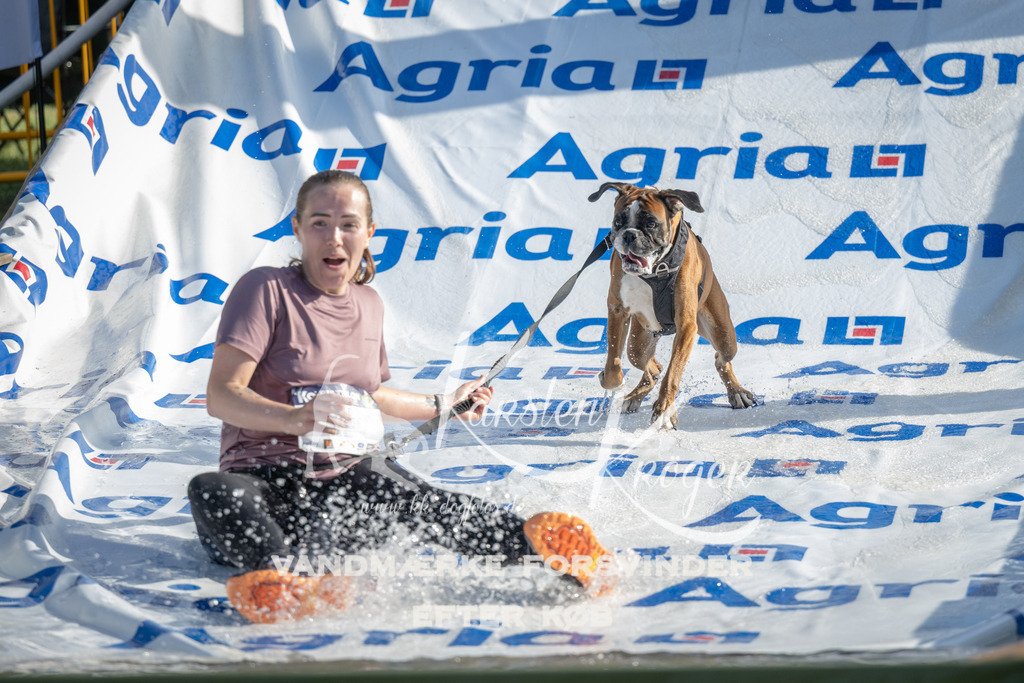 0927_ZZ95516 | kk-dogfotos