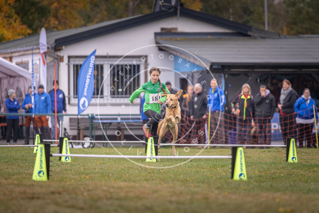 Pfotenfotografie_DV3A9601 | Hundefotografie, Tierfotograf, Pfotenfotografie, Fotoshooting Hund, Hunde Portrait, Hundesport, Hundeportraits, Heideshooting, Hunde, Sportfotograf, Hundefotograf, Turnierhundsport, THS,  - Realisiert mit Pictrs.com