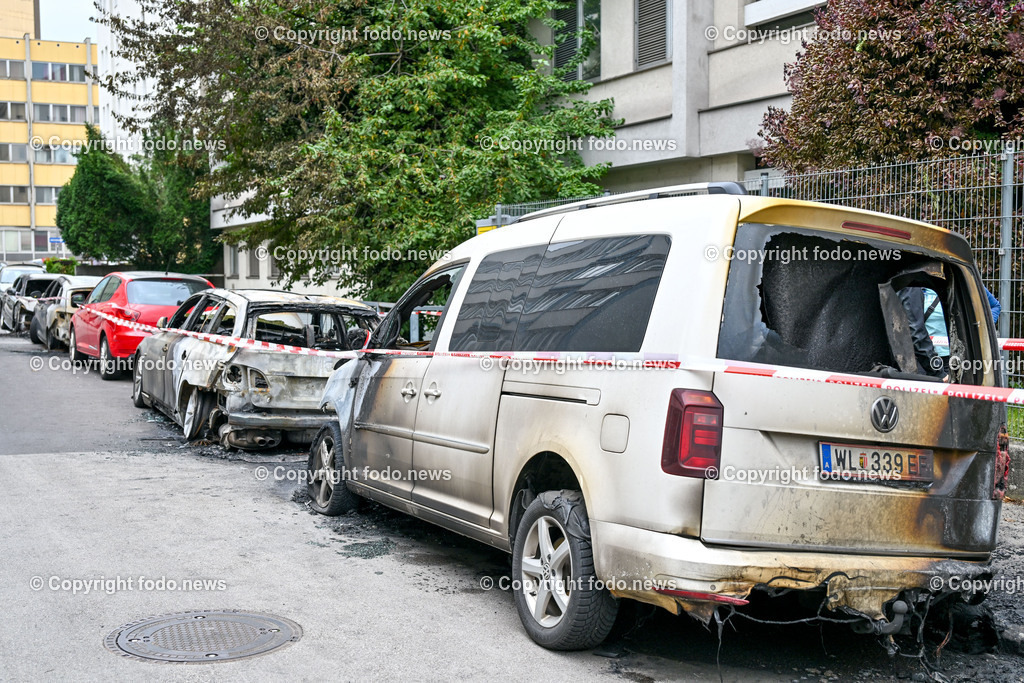 Linz_ Anatasius Gruen Strasse_ Fahrzeugbrand_ 11.06.2024-6 | 10.06.2024, Linz, AUT, Anatasius Gruen Strasse, Fahrzeugbrand im Bild Brandstelle, Ausgebrannte Fahrzeuge, Polizei