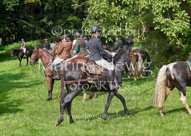 09-23 Jagd Perdöl_MCH0374_Marina Hewig | Fotografie, FotoArt, PferdesportArt, Pferdesportfotografie, Landschaftsfotografie, Reisefotografie, Reise, Pferde - Realisiert mit Pictrs.com