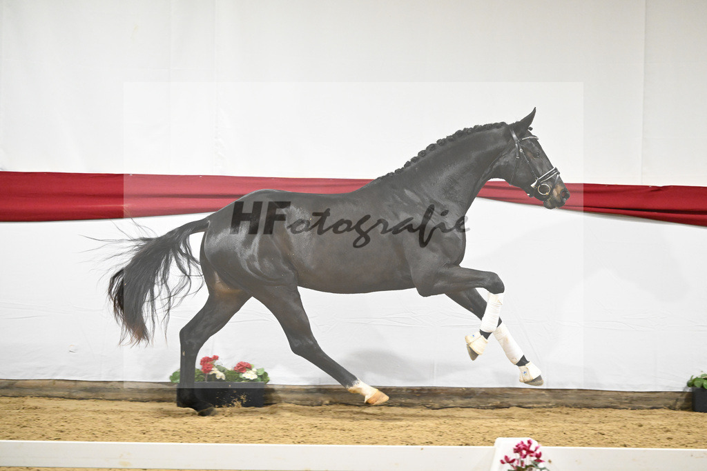 Kat-Nr. 51 v. Escamillo_Casper_63221333 | hf-fotografie - Realizzato con Pictrs.com