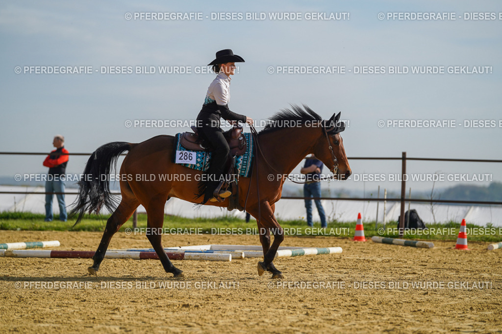 DSC01201 | Pferdegrafie