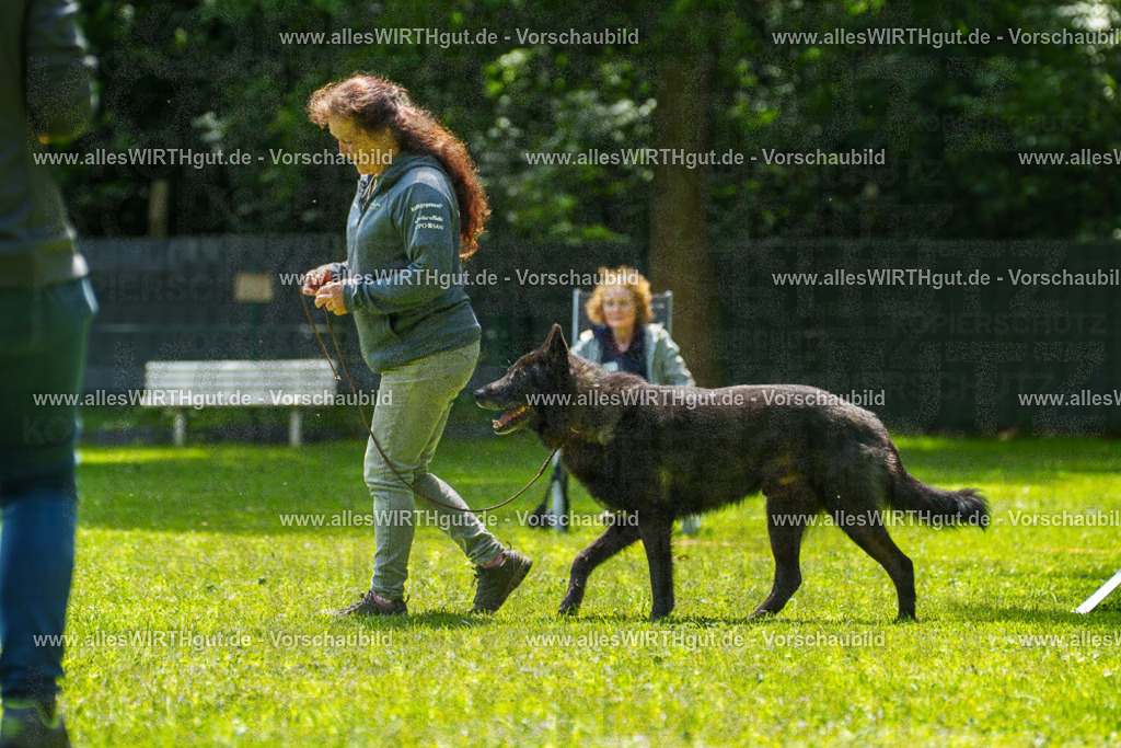 @allesWIRTHgut_Tierfotografie - www.allesWIRTHgut.de - 7R504726 | Professionelle Tierfotografie in Mönchengladbach von Daniel Wirth (allesWIRTHgut). Liebevolle & natürliche Bilder von Hunden & Katzen für unvergessliche Erinnerungen.