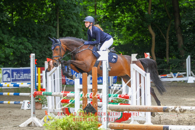 DKP45075 | Turnierfotos kaufen im Webshop von Daniel Kuhl Photography – entdecke professionelle Reitsportfotos aus Turnieren & Events. Hochwertige Turnierbilder online bestellen & sichern. Jetzt Fotos von Reitsportturnieren kaufen!