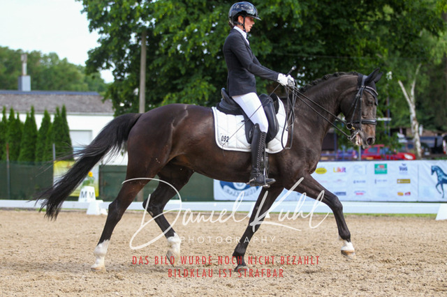 DKP41317 | Turniersportfotografie; Pferdefotografie; Dressurfotografie