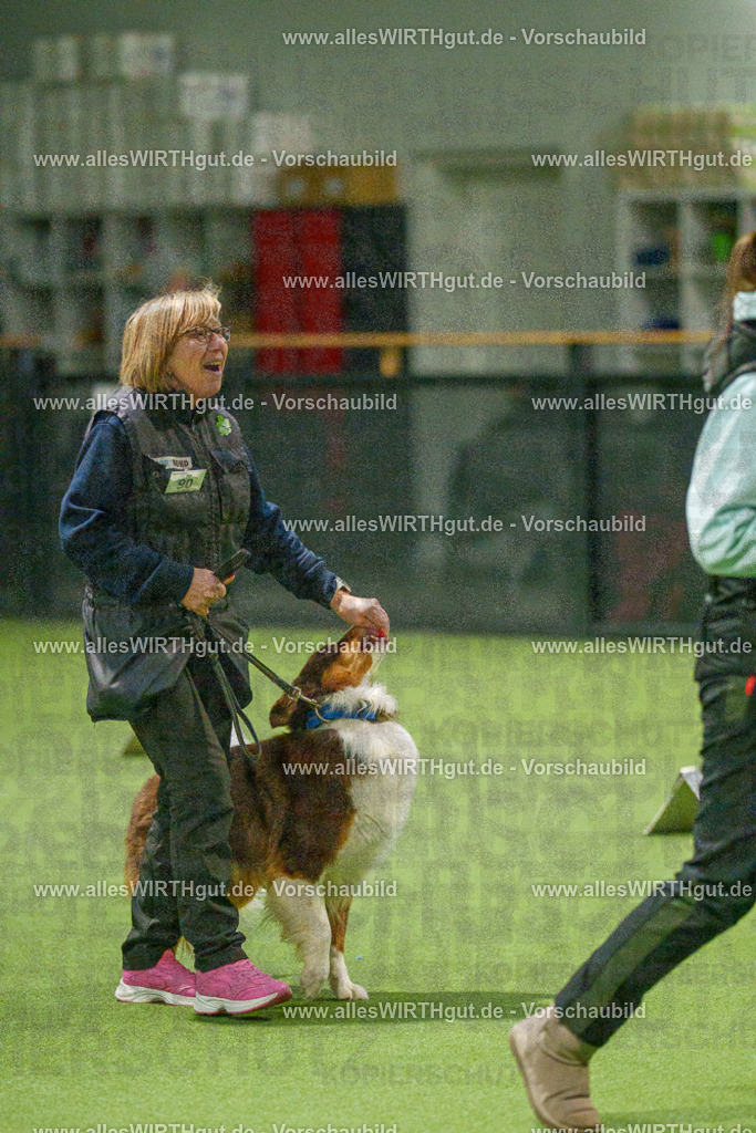 7R508753 | Professionelle Tierfotografie in Mönchengladbach von Daniel Wirth (allesWIRTHgut). Liebevolle & natürliche Bilder von Hunden & Katzen für unvergessliche Erinnerungen.