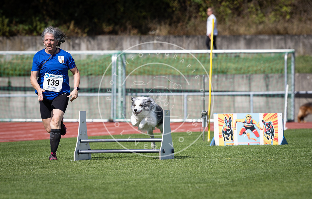 Pfotenfotografie_DV3A9027 | Hundefotografie, Tierfotograf, Pfotenfotografie, Fotoshooting Hund, Hunde Portrait, Hundesport, Hundeportraits, Heideshooting, Hunde, Sportfotograf, Hundefotograf, Turnierhundsport, THS,  - Realisiert mit Pictrs.com