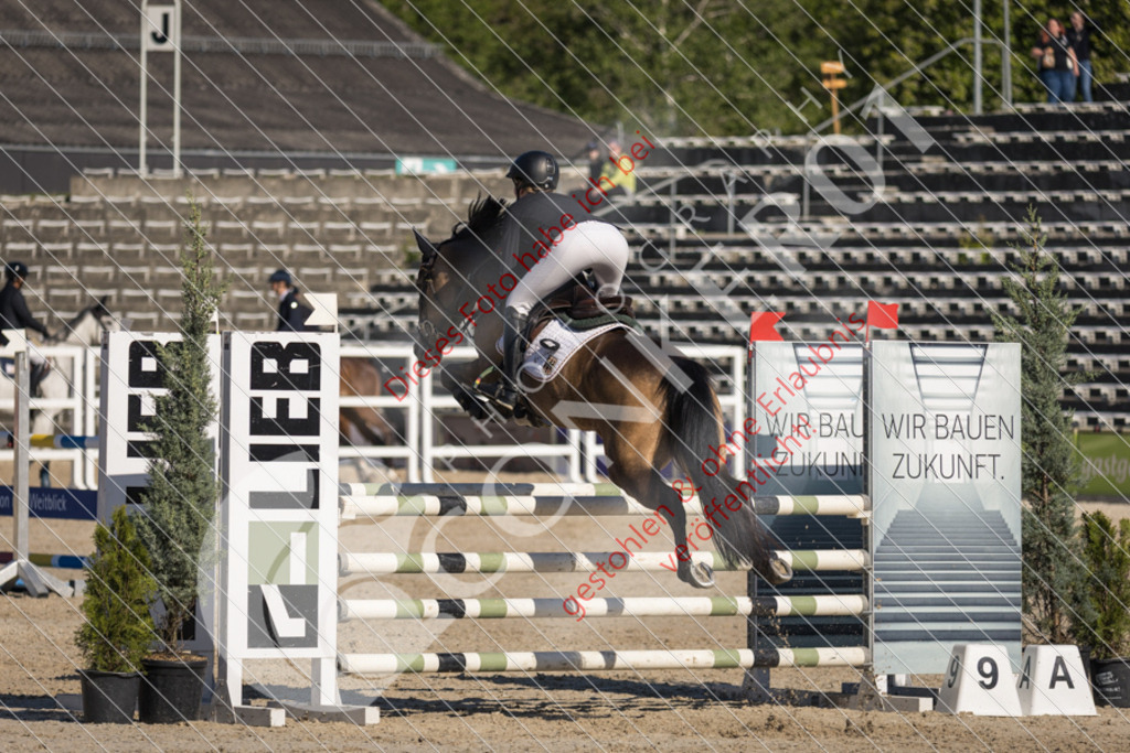 IMG_3043 | Sport-, Event- und Tierfotos in Profiqualität. Einfach auswählen, bestellen und herunterladen. Dein Moment – perfekt festgehalten.