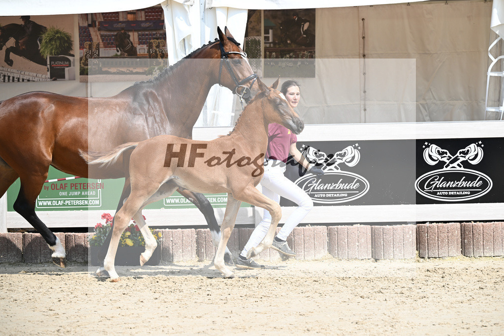 Arezzo Man x Celentano_HF_Moldvai_12250432 | hf-fotografie - Realisiert mit Pictrs.com