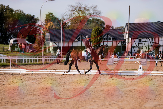 2026_10_03_Siefer-Hof_122825_Z81_26844825 | Professionelle Reitsport-, Turnier- und Eventfotografie von Robert Broda. Galerien mit ausgewählten und bearbeiteten Bildern direkt online ansehen und bestellen.