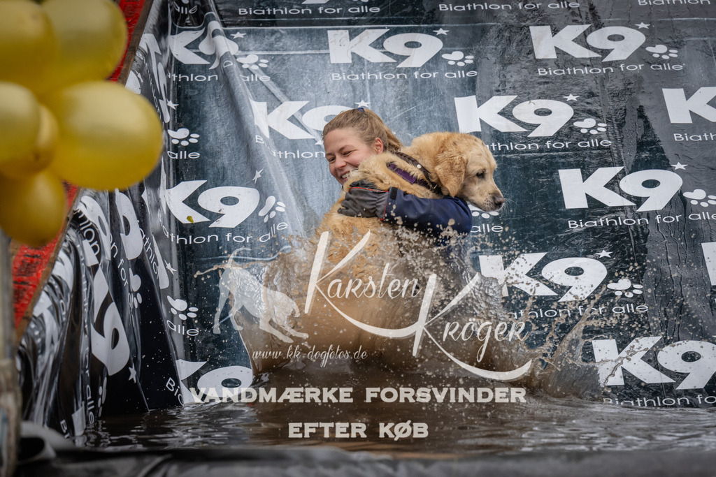 1113_ZZ92198 | kk-dogfotos