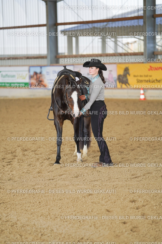 DSC00026 | Pferdegrafie