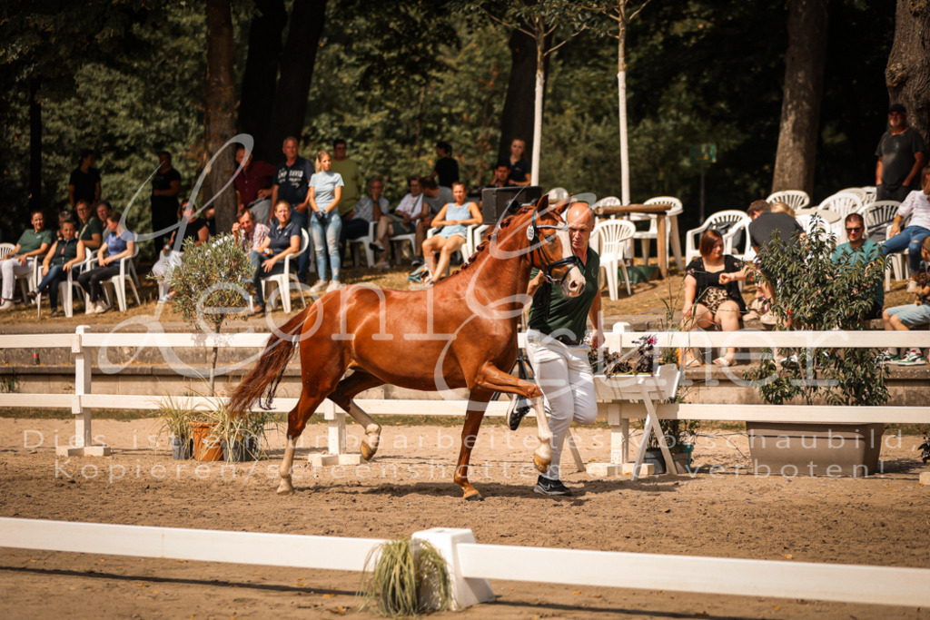 11.So00065 | Leoni Ertmer Photography - Realisiert mit Pictrs.com