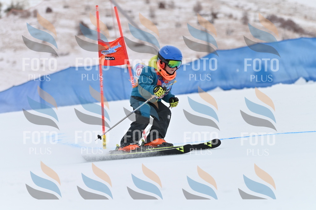 BGV_2409 | holidayphoto