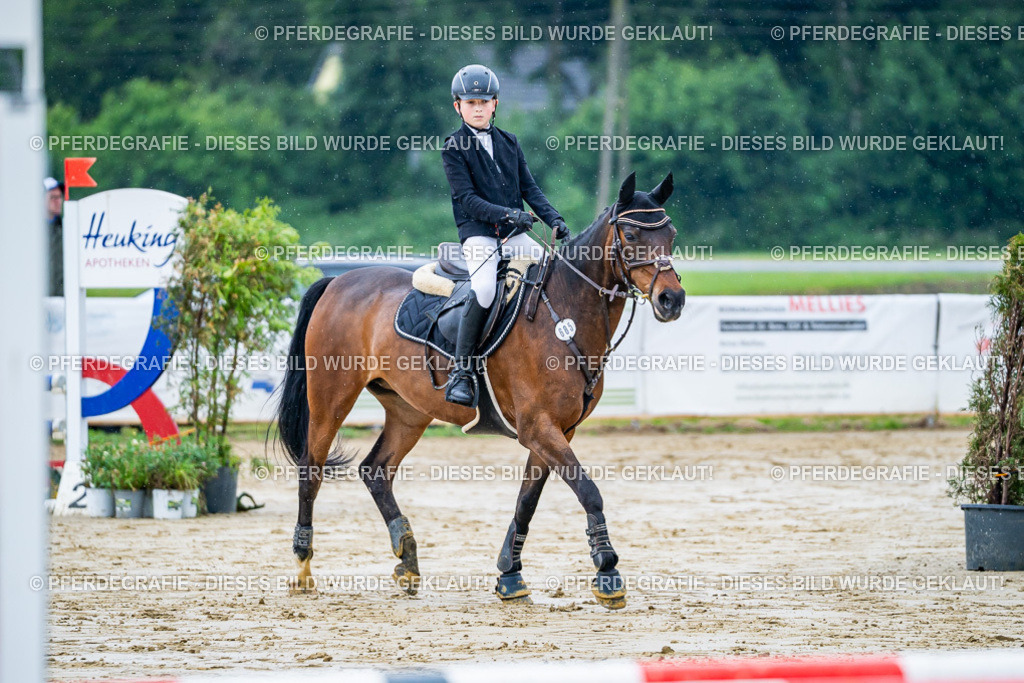 DSC01394 | Pferdegrafie