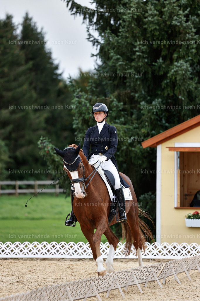 11-201-Dressur S___-StoibPH-941 | working equitationturnier fotograf videograf stoibphotography marixx film working equitation deutschland reitsport turnierfotografie eventfotografie equestrian events