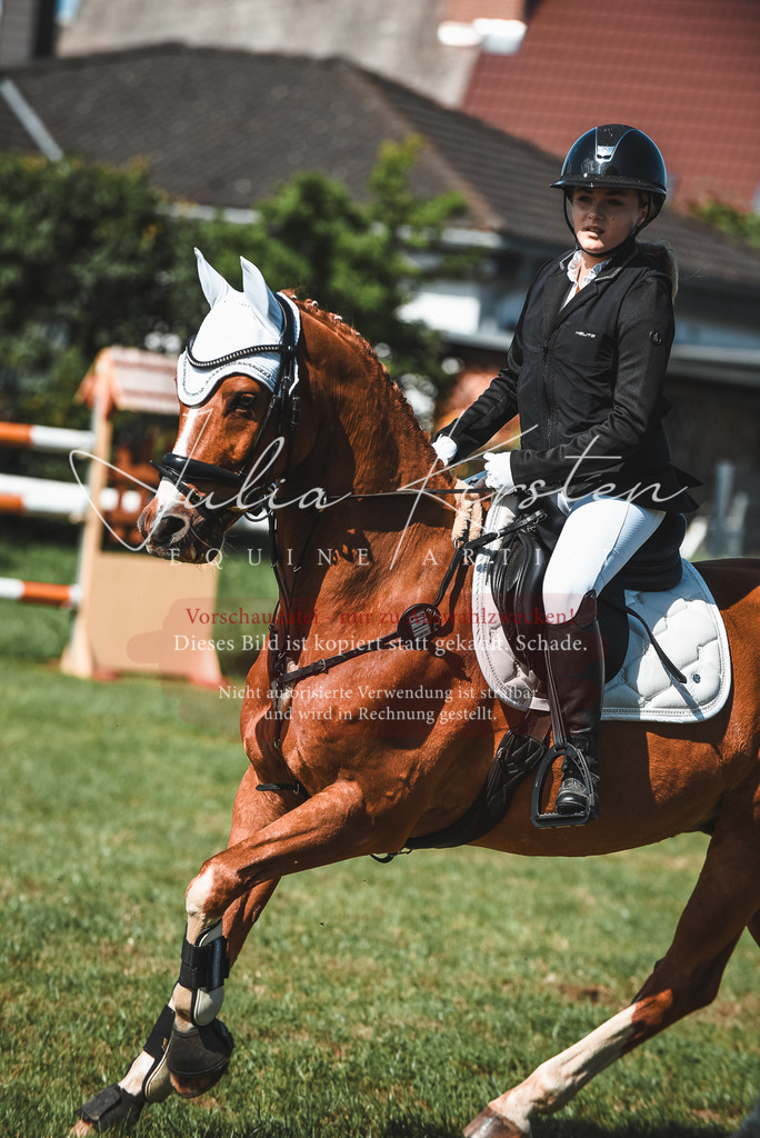 DSC_9113 | Pferde- und Turnierfotografie in Westsachsen. Pferdeportraits, Auftragszeichnungen und intuitive Kunst.