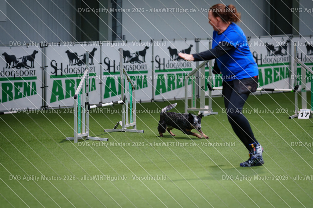 allesWIRTHgut_Tierfotografie-DVG_Agility_Masters_2026-09_15-7R509005 | Professionelle Tierfotografie in Mönchengladbach von Daniel Wirth (allesWIRTHgut). Liebevolle & natürliche Bilder von Hunden & Katzen für unvergessliche Erinnerungen.