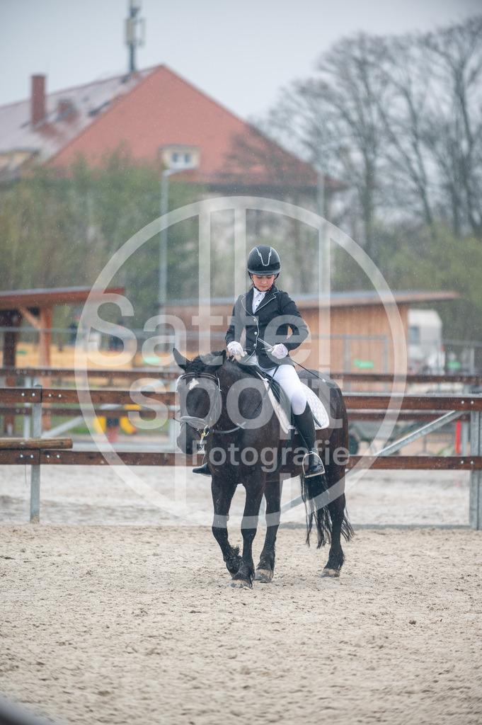 DSC_7949 | sattelsport - Realisiert mit Pictrs.com