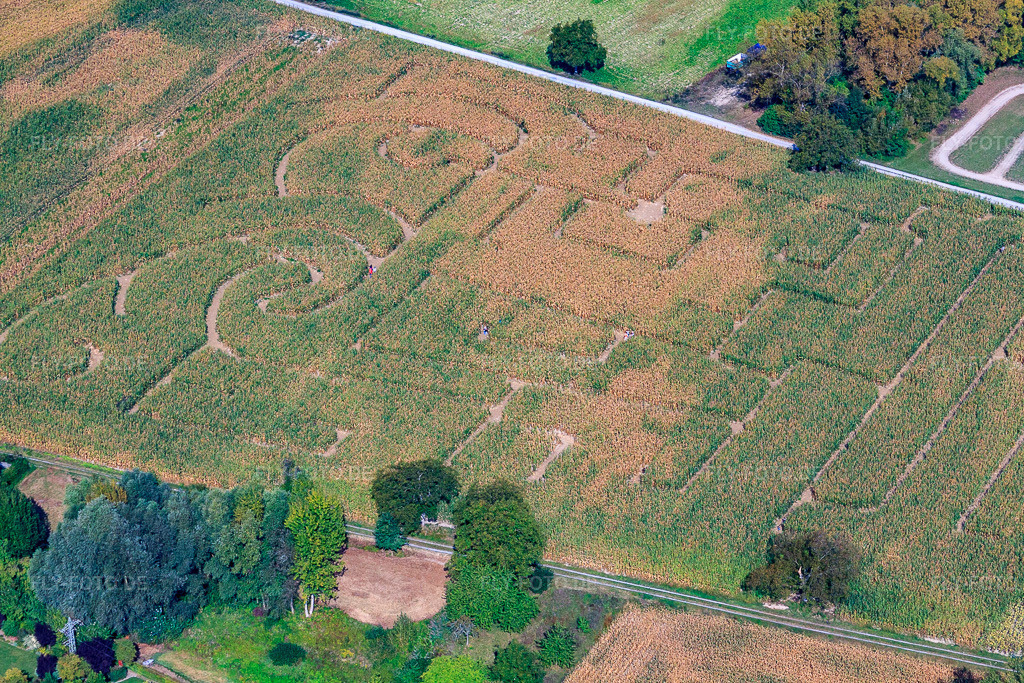 Luftbild: Seehof (Maislabyrinth) in Leimersheim im Bundesland Rheinland-Pfalz in Deutschland. Foto: IMG_21165.jpg vom 13.09.2009 durch Werner Riehm/FLY-FOTO.deWWW.MAISLABYRINTH-LEIMERSHEIM.DE