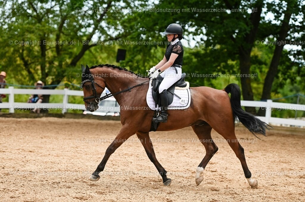 20230715_05_Dressurprüfung Kl.A++_0322 | equistock