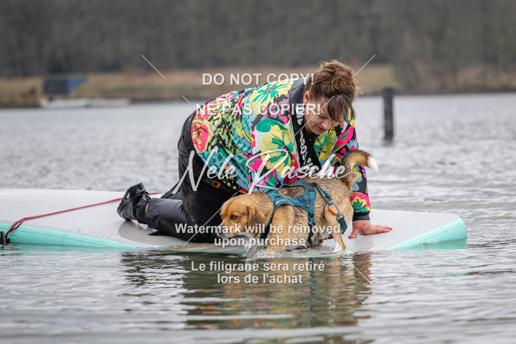 nelerasche_Hulsbeek_Sa1230-1330_280 | nelerasche