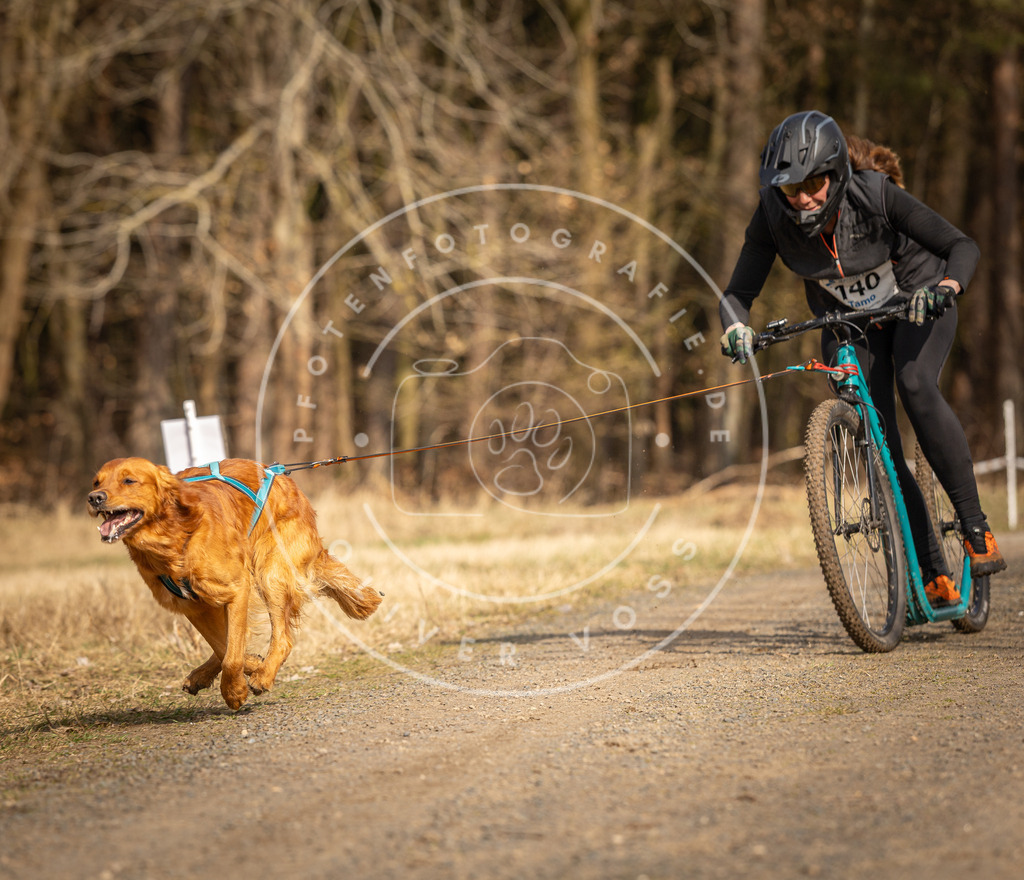DV3A4752 | Hundefotografie, Tierfotograf, Pfotenfotografie, Fotoshooting Hund, Hunde Portrait, Hundesport, Hundeportraits, Heideshooting, Hunde, Sportfotograf, Hundefotograf, Turnierhundsport, THS,  - Realisiert mit Pictrs.com