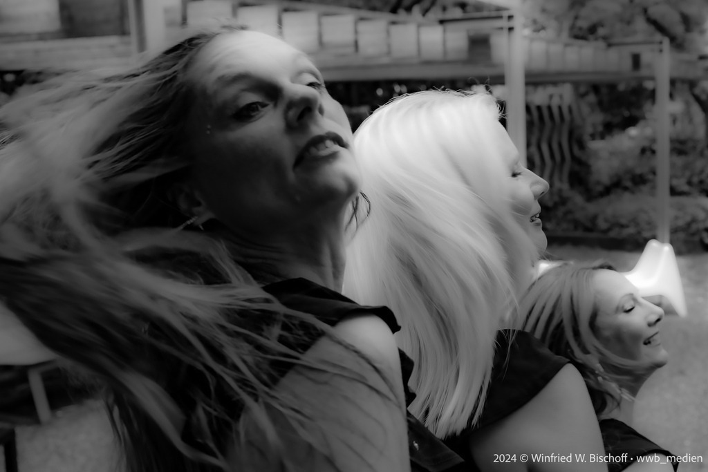 355_DSC_6552 | <Fotografie> <Video> <Film> <Winfried Bischoff> - Realisiert mit Pictrs.com