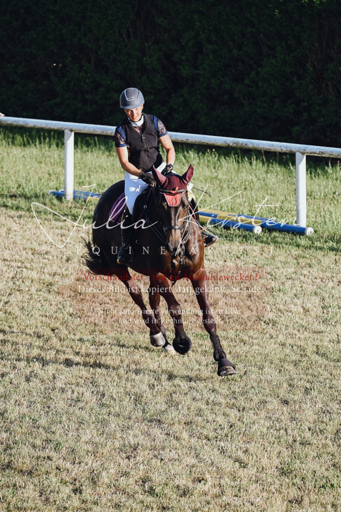 DSC_3298 | Pferde- und Turnierfotografie in Westsachsen. Pferdeportraits, Auftragszeichnungen und intuitive Kunst.