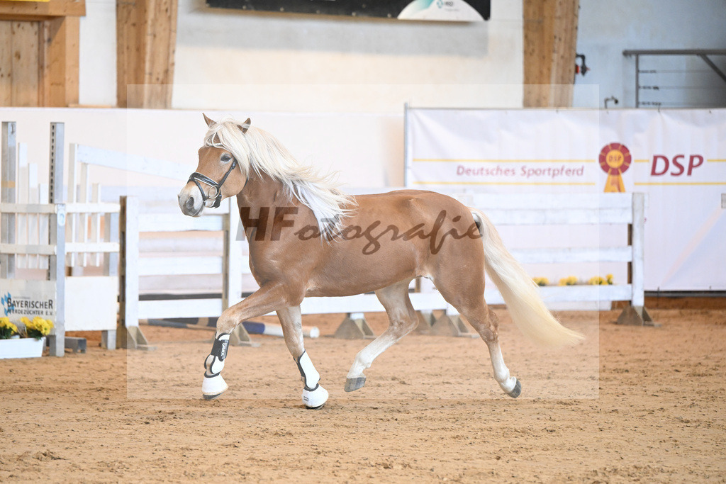 Kat-Nr. 19 v. Amari_Reisberger_2230343 | hf-fotografie - Realisiert mit Pictrs.com