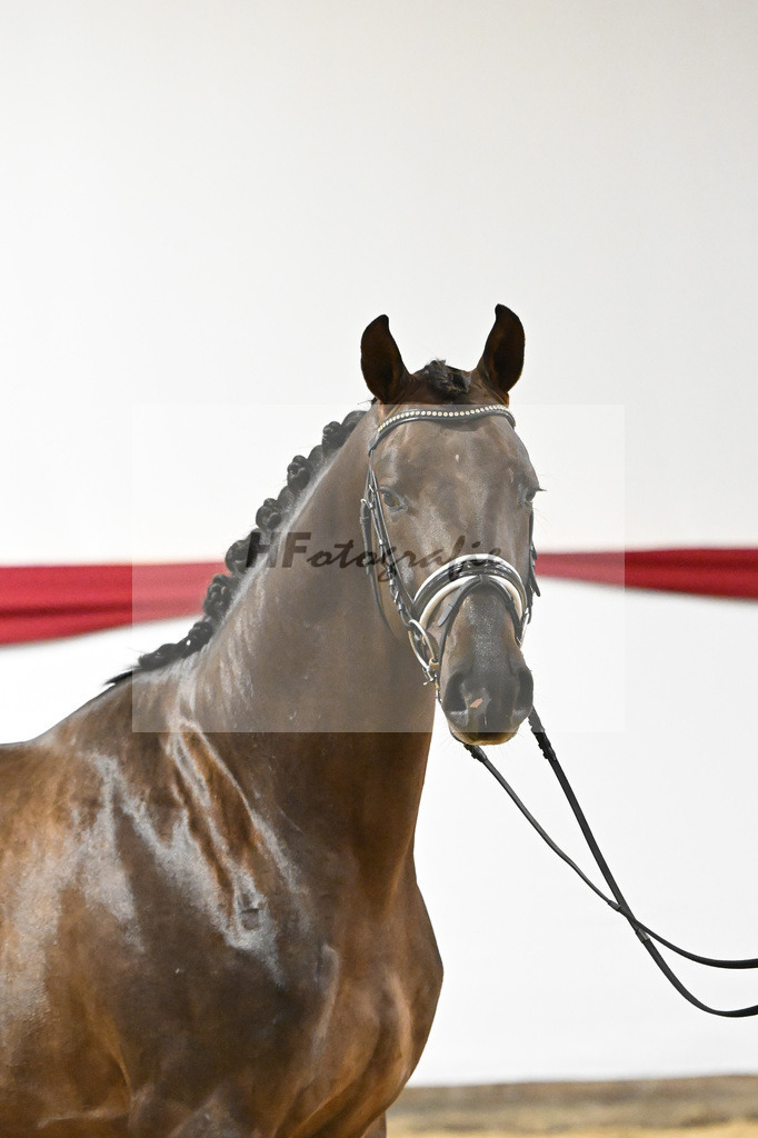 Kat-Nr. 66 v. Revolution_Reuner-Krebs_63221929 | hf-fotografie - Realizzato con Pictrs.com