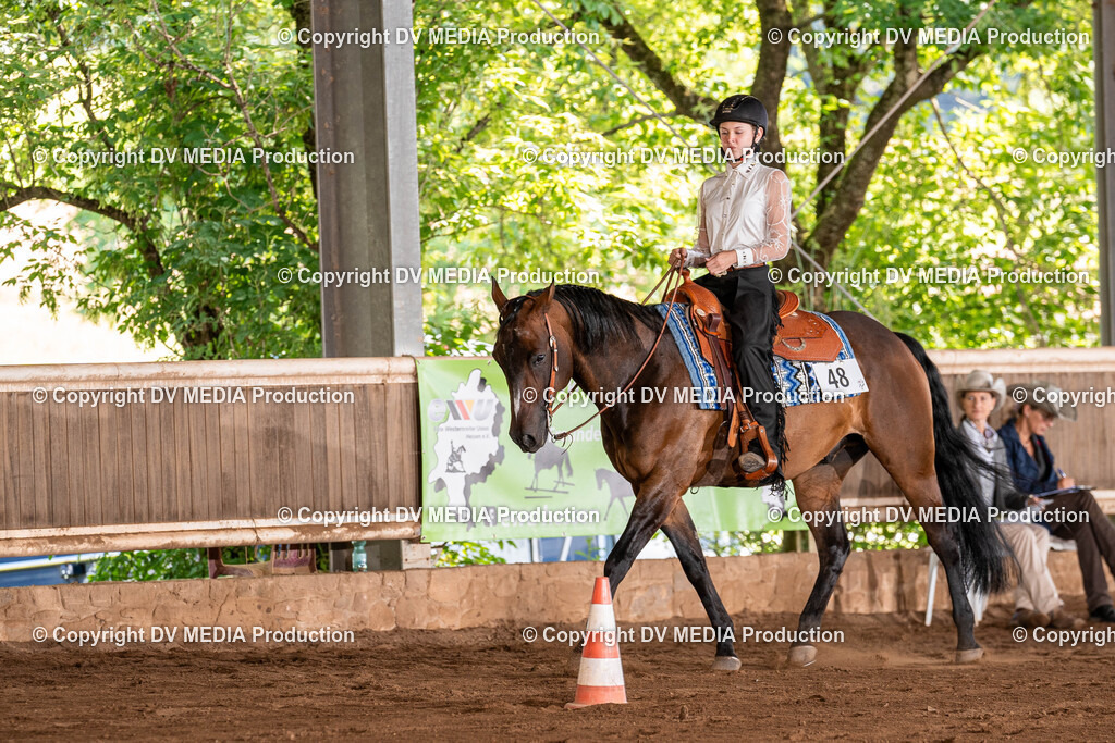 Erbach Tag 3-668 | dv-media-shop - Realisiert mit Pictrs.com