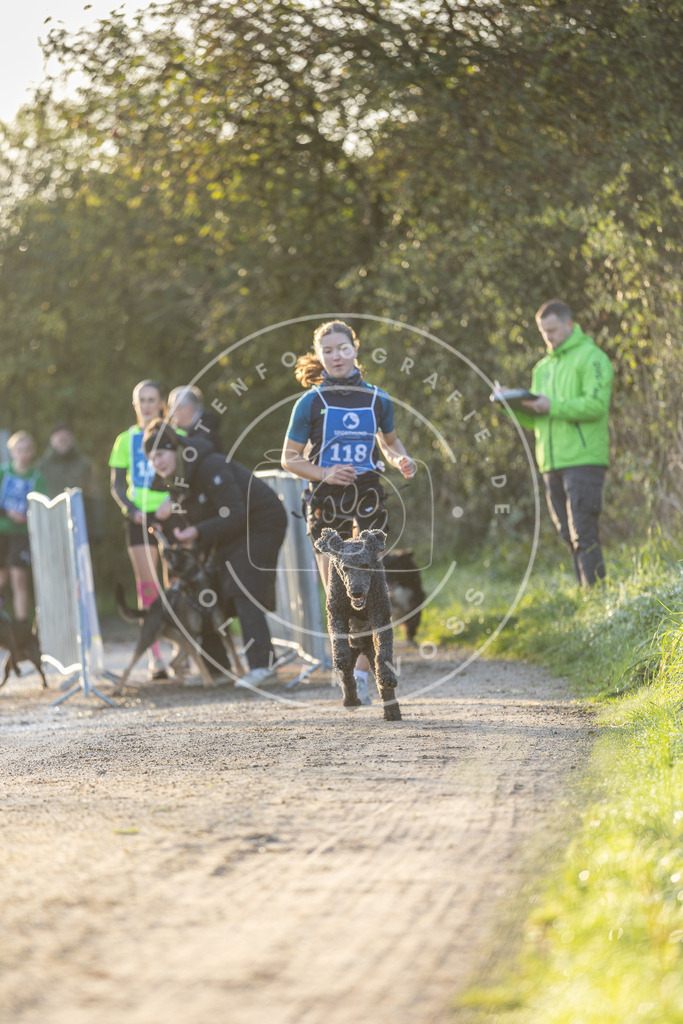 Pfotenfotografie.de_DV3A2425 | Hundefotografie, Tierfotograf, Pfotenfotografie, Fotoshooting Hund, Hunde Portrait, Hundesport, Hundeportraits, Heideshooting, Hunde, Sportfotograf, Hundefotograf, Turnierhundsport, THS, canicross - Realisiert mit Pictrs.com